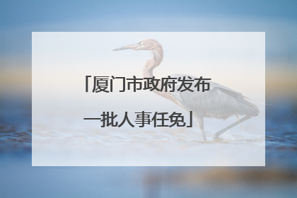 厦门市政府发布一批人事任免