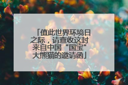 值此世界环境日之际，请查收这封来自中国“国宝”大熊猫的邀请函