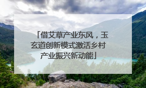 借艾草产业东风，玉玄道创新模式激活乡村产业振兴新动能