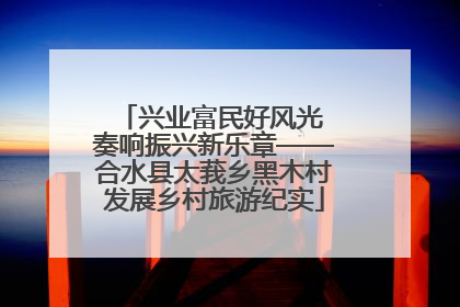 兴业富民好风光 奏响振兴新乐章——合水县太莪乡黑木村发展乡村旅游纪实