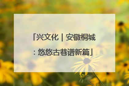 兴文化｜安徽桐城：悠悠古巷谱新篇