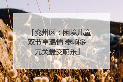 兖州区：困境儿童双节享温情 奏响多元关爱交响乐