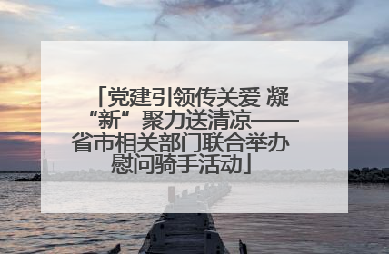 党建引领传关爱 凝“新”聚力送清凉——省市相关部门联合举办慰问骑手活动