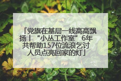党旗在基层一线高高飘扬丨“小丛工作室”6年共帮助157位流浪乞讨人员点亮回家的灯