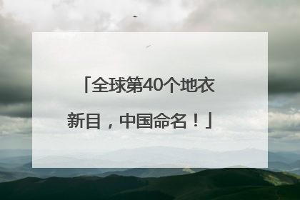 全球第40个地衣新目，中国命名！