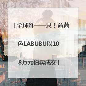全球唯一一只！薄荷色LABUBU以108万元拍卖成交