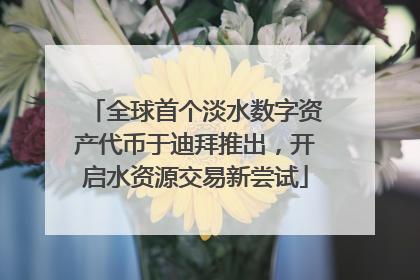全球首个淡水数字资产代币于迪拜推出，开启水资源交易新尝试
