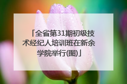全省第31期初级技术经纪人培训班在新余学院举行(图)