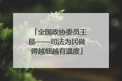 全国政协委员王昆——司法为民做得越细越有温度