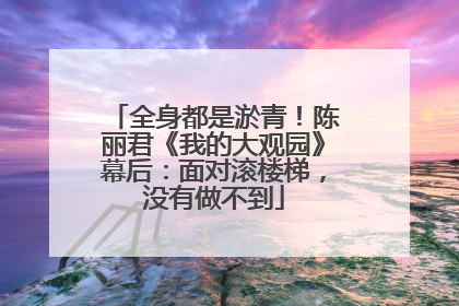 全身都是淤青！陈丽君《我的大观园》幕后：面对滚楼梯，没有做不到