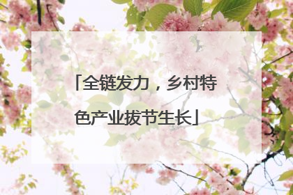 全链发力，乡村特色产业拔节生长