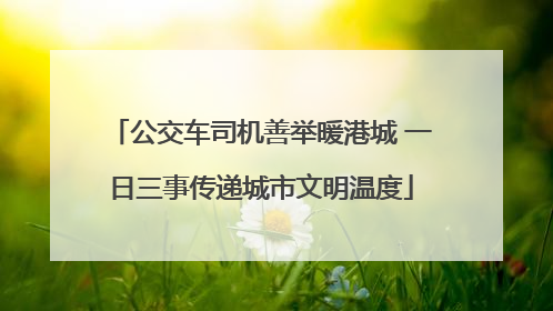 公交车司机善举暖港城 一日三事传递城市文明温度