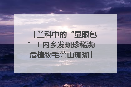 兰科中的“显眼包”！内乡发现珍稀濒危植物毛萼山珊瑚