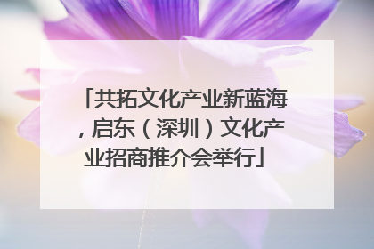 共拓文化产业新蓝海，启东（深圳）文化产业招商推介会举行