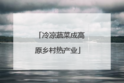 冷凉蔬菜成高原乡村热产业