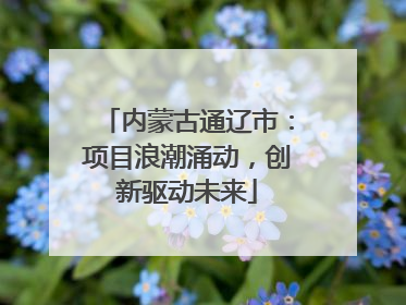 内蒙古通辽市：项目浪潮涌动，创新驱动未来