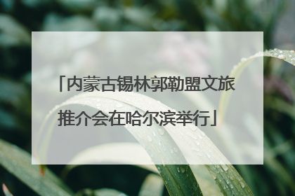 内蒙古锡林郭勒盟文旅推介会在哈尔滨举行