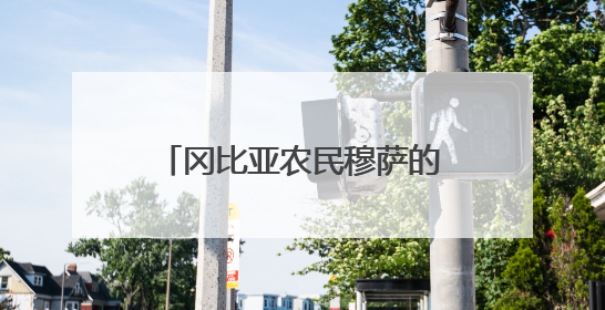 冈比亚农民穆萨的故事，是“中非友好的一段佳话”