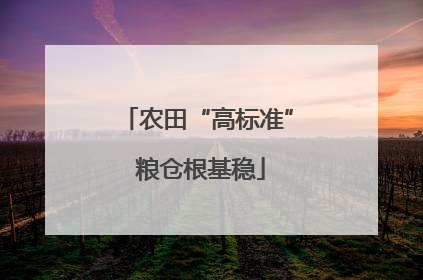 农田“高标准” 粮仓根基稳