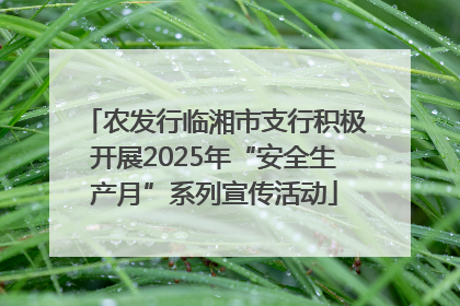 农发行临湘市支行积极开展2025年“安全生产月”系列宣传活动