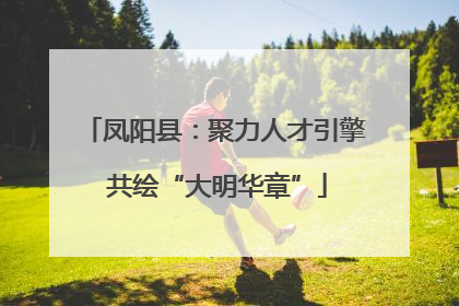 凤阳县：聚力人才引擎 共绘“大明华章”