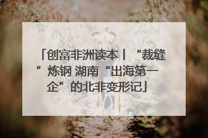 创富非洲读本丨“裁缝”炼钢 湖南“出海第一企”的北非变形记