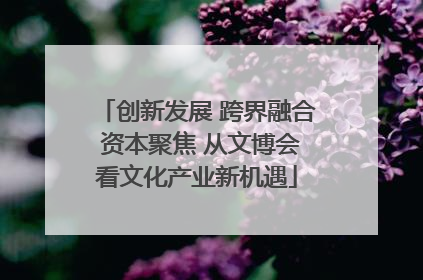 创新发展 跨界融合 资本聚焦 从文博会看文化产业新机遇