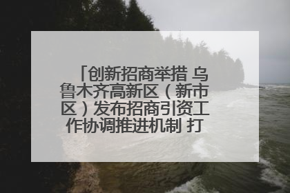 创新招商举措 乌鲁木齐高新区（新市区）发布招商引资工作协调推进机制 打造投资发展新高地