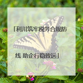 利川筑牢税务合规防线 助企行稳致远