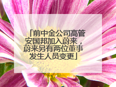 前中金公司高管安国邦加入蔚来，蔚来另有两位董事发生人员变更