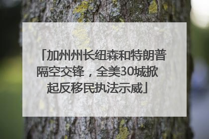 加州州长纽森和特朗普隔空交锋，全美30城掀起反移民执法示威