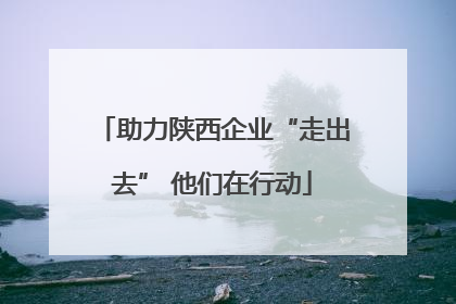 助力陕西企业“走出去” 他们在行动