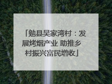 勉县吴家湾村：发展烤烟产业 助推乡村振兴富民增收