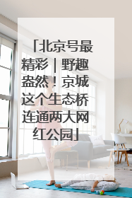 北京号最精彩｜野趣盎然！京城这个生态桥连通两大网红公园