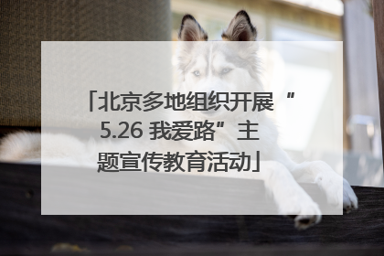 北京多地组织开展“5.26 我爱路”主题宣传教育活动