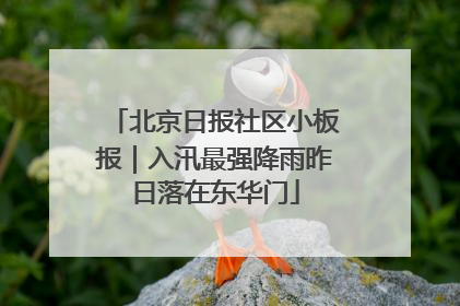 北京日报社区小板报｜入汛最强降雨昨日落在东华门