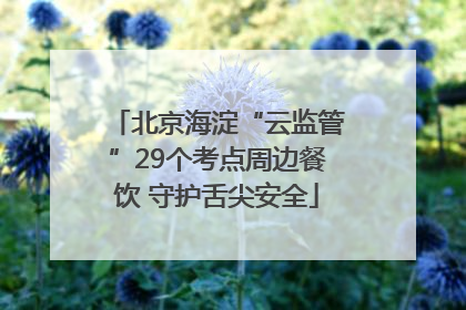 北京海淀“云监管”29个考点周边餐饮 守护舌尖安全