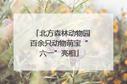 北方森林动物园百余只动物萌宝“六一”亮相