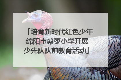 培育新时代红色少年 绵阳市桑枣小学开展少先队队前教育活动