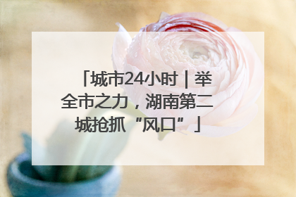 城市24小时｜举全市之力，湖南第二城抢抓“风口”