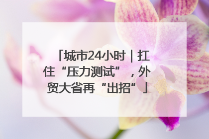 城市24小时｜扛住“压力测试”，外贸大省再“出招”