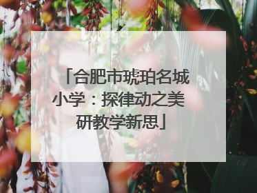 合肥市琥珀名城小学：探律动之美 研教学新思