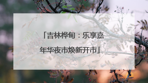 吉林桦甸：乐享嘉年华夜市焕新开市
