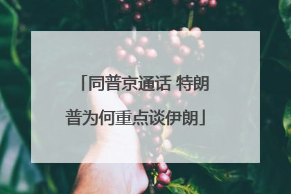 同普京通话 特朗普为何重点谈伊朗