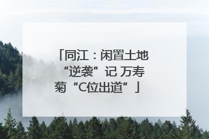 同江：闲置土地“逆袭”记 万寿菊“C位出道”