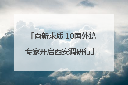 向新求质 10国外籍专家开启西安调研行