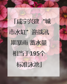 咸宁兴建“城市水缸”迎战汛期暴雨 蓄水量相当于195个标准泳池