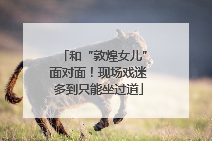 和“敦煌女儿”面对面！现场戏迷多到只能坐过道