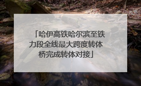 哈伊高铁哈尔滨至铁力段全线最大跨度转体桥完成转体对接
