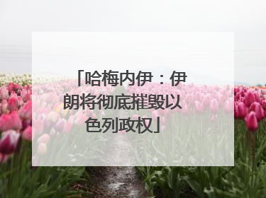 哈梅内伊：伊朗将彻底摧毁以色列政权